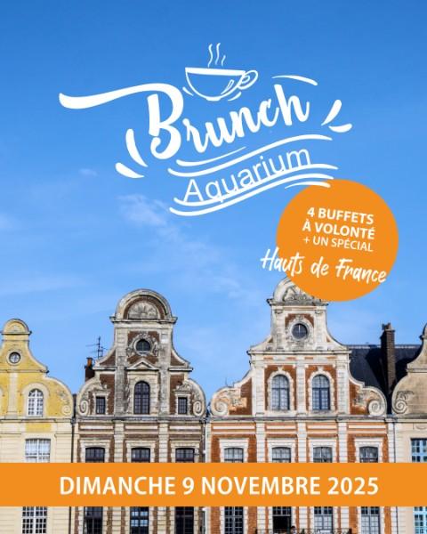 LE BRUNCH DE NOVEMBRE ARRIVE LE 9 NOVEMBRE À L’AQUARIUM !  LE BRUNCH DE NOVEMBRE ARRIVE LE 9 NOVEMBRE À L’AQUARIUM !