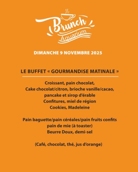 LE BRUNCH DE NOVEMBRE ARRIVE LE 9 NOVEMBRE À L’AQUARIUM !  LE BRUNCH DE NOVEMBRE ARRIVE LE 9 NOVEMBRE À L’AQUARIUM !