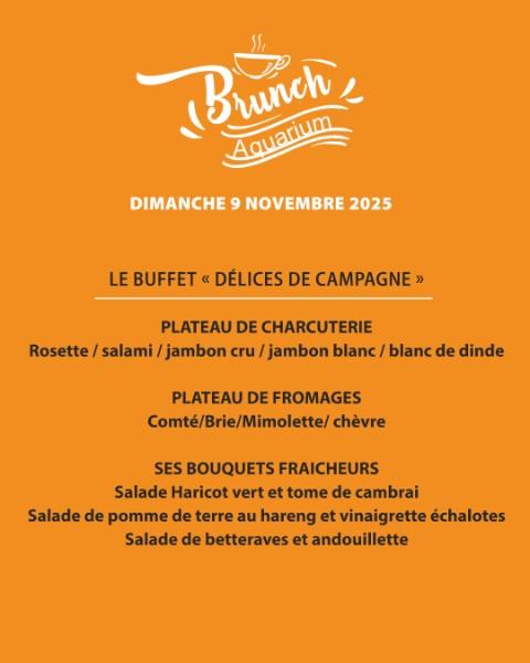 LE BRUNCH DE NOVEMBRE ARRIVE LE 9 NOVEMBRE À L’AQUARIUM !  LE BRUNCH DE NOVEMBRE ARRIVE LE 9 NOVEMBRE À L’AQUARIUM !