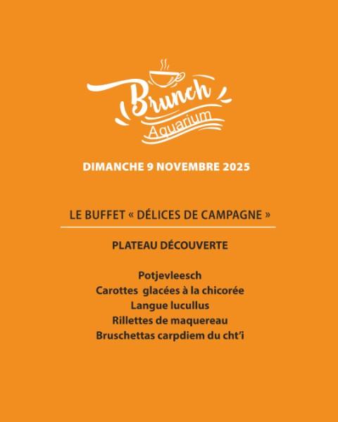 LE BRUNCH DE NOVEMBRE ARRIVE LE 9 NOVEMBRE À L’AQUARIUM !  LE BRUNCH DE NOVEMBRE ARRIVE LE 9 NOVEMBRE À L’AQUARIUM !