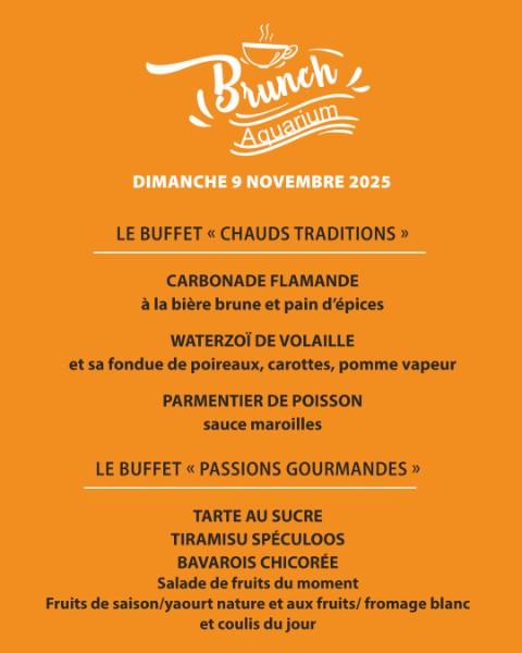LE BRUNCH DE NOVEMBRE ARRIVE LE 9 NOVEMBRE À L’AQUARIUM !  LE BRUNCH DE NOVEMBRE ARRIVE LE 9 NOVEMBRE À L’AQUARIUM !