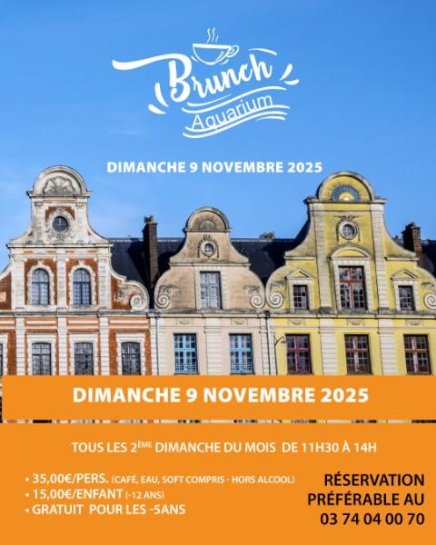 LE BRUNCH DE NOVEMBRE ARRIVE LE 9 NOVEMBRE À L’AQUARIUM !  LE BRUNCH DE NOVEMBRE ARRIVE LE 9 NOVEMBRE À L’AQUARIUM !